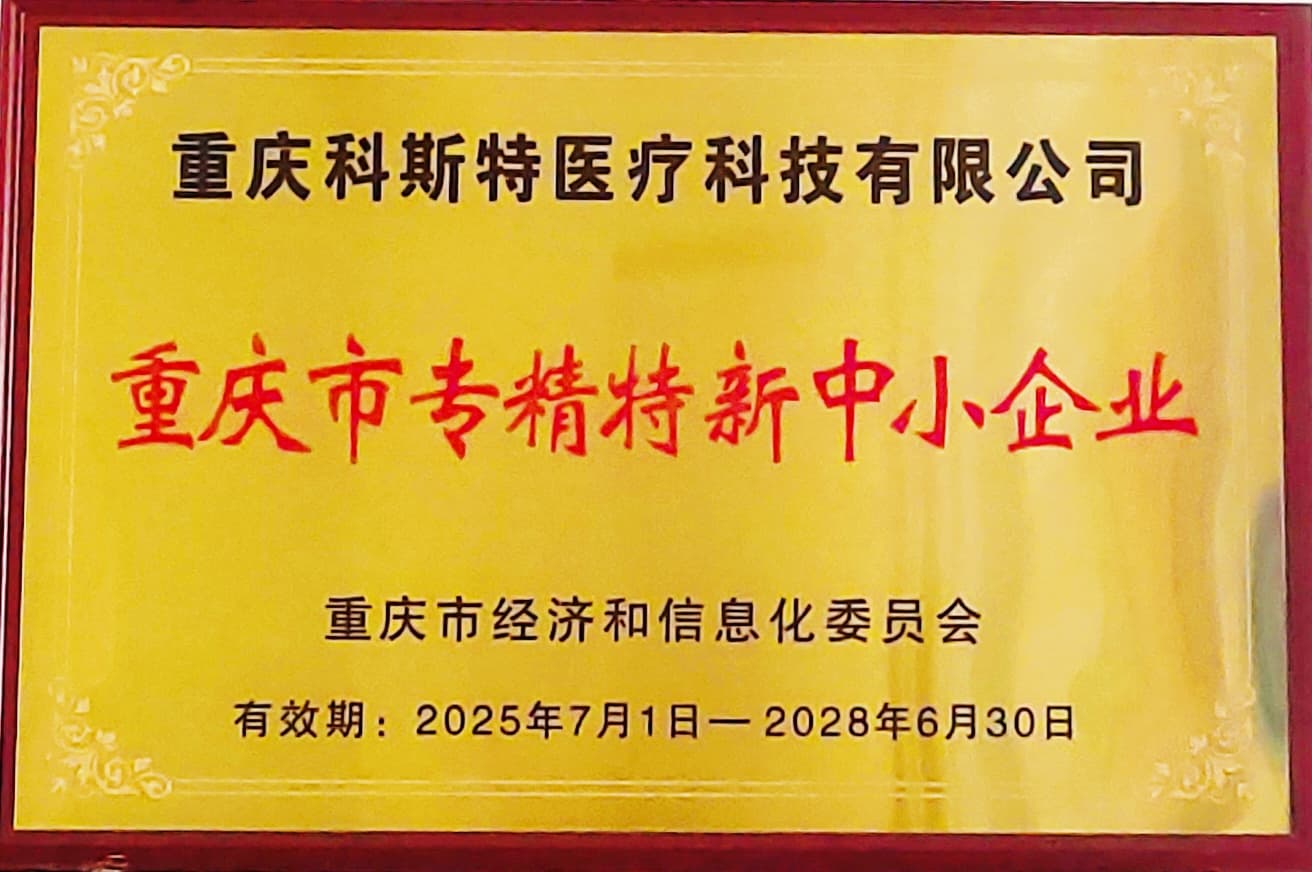 重庆市专精特新中小企业