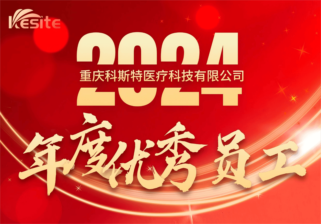 2024年度优秀员工表彰书