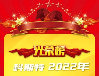2022年度优秀员工表彰书